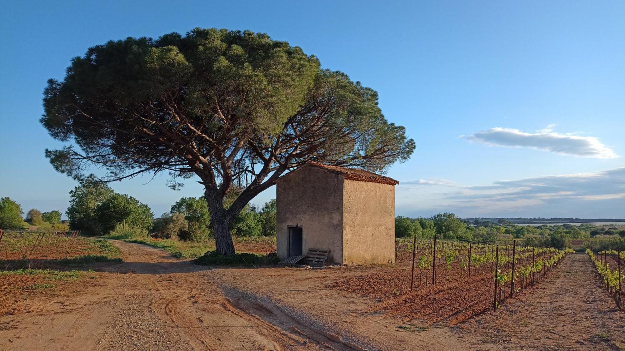 Villa Pays D'Oc Безье Экстерьер фото